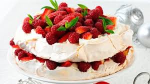 Image result for pavlova
