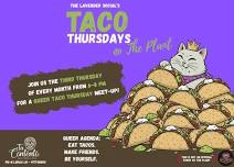 Queer Taco Thursdays at The Plant