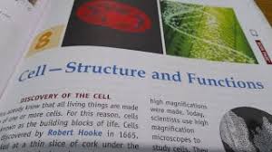 Maybe you would like to learn more about one of these? Chapter 8 Cell Structure And Functions Solutions Questions Answer Ratna Sagar Class 8 Science Book Youtube