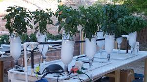 6 Plant Ebb Flow Flood And Drain Hydroponic System