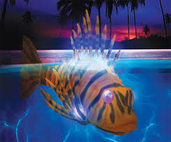 Swimming Pool Fish Bots Dudeiwantthat Com