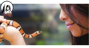 Nature Notes NatureNotes