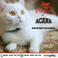 kanada ve dunyanin en iyi mamasi acana orijen mamagelsin stoklarinda