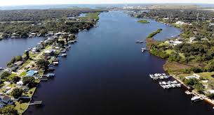 Image result for Alafia