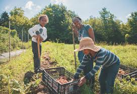 The Seeds of Ancestors – Emergence Magazine