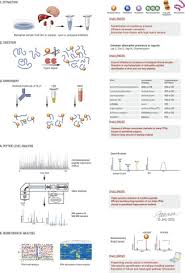 And, as an added bonus, simple western assays also let you use pan or total immunodetecting antibodies to monitor protein. Status Of Large Scale Analysis Of Post Translational Modifications By Mass Spectrometry Molecular Cellular Proteomics