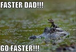 Maybe you would like to learn more about one of these? Temsah Hashtag On Twitter