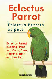 You have to watch out for the safety of the cockatiel more than the other way around, believe it or not. Eclectus Parrot Eclectus Parrots As Pets Eclectus Parrot Keeping Pros And Cons Care Housing Diet And Health Ebook By Roger Rodendale 9781912057160 Rakuten Kobo United States