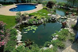 If One Pond Is Good Are 2 Ponds Better Cottage Garden Design Cottage Garden Garden Design Plans
