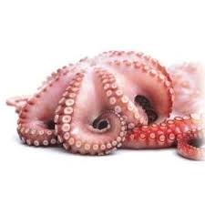 Cuisson Poulpe Cuisson Poulpe Cuisson Poisson Recette Poulpe