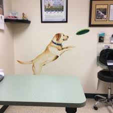 Molitor pet & bird clinic is located in burlington, wi and can be reached at: The Best 10 Veterinarians Near Lyons Wi 53105 Last Updated June 2021 Yelp