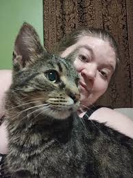 pets lost and found of Lexington Kentucky