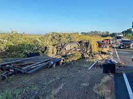 Build your own dashboard to track cases. 1 Injured In Arnold Drive Collision Near Viansa