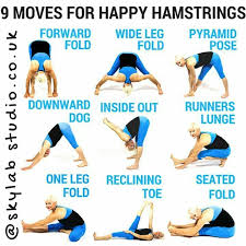 Hamstring Stretches Hamstring Workout Workout Exercise
