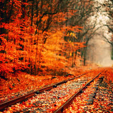 October wallpaper cute fall wallpaper halloween wallpaper iphone halloween backgrounds samsung wallpapers cute wallpapers art mural japonais fall inspiration autumn aesthetic. Fall Aesthetic Wallpaper