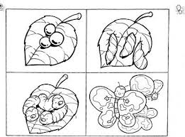 Learn about nature and have some colouring fun too with our butterfly life cycle colouring page. Life Cycle Of A Butterfly Cards Butterfly Life Cycle Life Cycles Butterfly Coloring Page