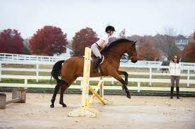 How Should I Start My Young Horse Over Fences Expert How To For English Riders