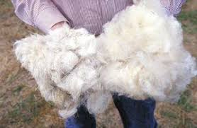 Check spelling or type a new query. Sifat Fisika Dan Kimia Dari Serat Wool