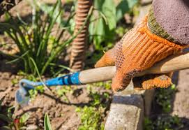 Mulch is a valuable addition to the garden, not only for weed control but because it adds nutrients to the soil as it decomposes. Weeding Tips For Vegetable Gardens Planet Natural