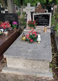 Kazik staszewski was born on march 12, 1963 in warsaw, mazowieckie, poland as kazimierz piotr staszewski. Stanislaw Staszewski Artysta Wikipedia Wolna Encyklopedia