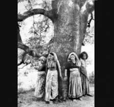 Social Forum Journey Chipko Tree Hugger Movement Videos