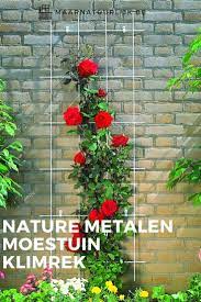 voor kleinere klimplanten tegen de muur nature metalen klimrek klimroos tuin en dier klimplanten