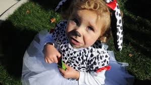 Pumpkin Patch, Egg Harbor