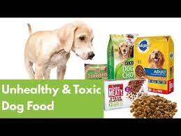 Users seem to agree that quality has not been compromised by the sale, so natural balance remains one of the highest quality brands on the. Worst Dog Food 14 Unhealthy Toxic Ingredients To Avoid Youtube Dog Food Recipes Healthy Dog Food Recipes Bad Dog