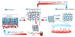 An obvious question is what makes water move at all? Water Free Full Text Recent Developments And Future Challenges Of Hydrogels As Draw Solutes In Forward Osmosis Process Html