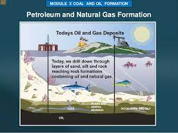 Coal And Oil Formation