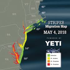 Striper Migration Map May 4 2018 On The Water