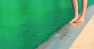 Please do realize, all these methods we have given you in this blog will work for above and inground pools. How To Fix A Green Pool Bioguard Learn From The Experts