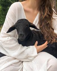 Mother The Mountain Farm On Instagram Julia And Little Silkworm Having Sweet Cuddles On This Hot Day Silkworm S Mum Mulberry I Cuddling Hot Days Mulberry