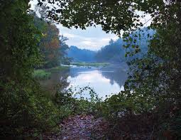 Conservation for Generations