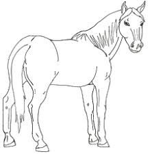 My coloring books free coloring pages nicole's party coloring pages. Top 55 Free Printable Horse Coloring Pages Online