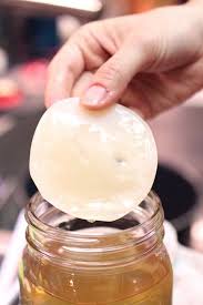 Homemade Scoby For Kombucha Diy Projects Craft Ideas How To S For Home Decor With Videos Kombucha Homemade Kombucha Kombucha Recipe