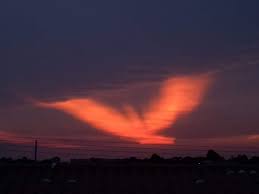Select from premium phoenix sunset of the highest quality. Glowing Red Phoenix Appears In The Sunset Sky Over Brazil For Halloween In Pictures Strange Sounds