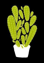 Cuando se dan muchas pequeñas espinas juntas, como un sarpullido de espinitas, se les llama gloquidios y están muy presente en muchos géneros de cactus. 20 Ideas De Dibujos Cactus Suculentas Dibujos Cactus Suculentas