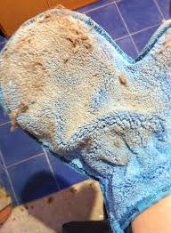 Dusting Mitt – Norwex Norge As