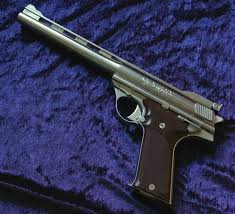 Pin On Guns