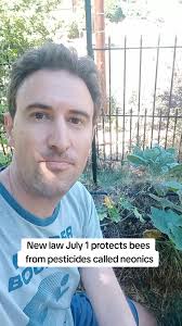 A new #colorado law will get bee-killing pesticides called neonics off most  retail store shelves starting July 1. We need bees & pollinators for so  much of our food. This is a great step to protect ...