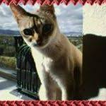 Sandy McGowan (liturgyreno)