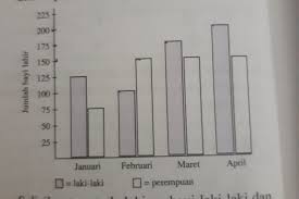 Tidak seperti pembuat diagram batang lainnya, template canva dibuat oleh para desainer profesional. Diagram Batang Dari Data Kelahiran Bayi Yang Tercatat Pada Kuartal Pertama Tahun 2002 Dapat Dilihat Brainly Co Id
