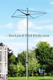 Bird Feeder Pulley System Tall Bird Pole Rack System At Backyard Wild Birds Tallest Bird Bird Feeder Poles Backyard