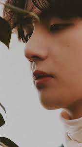 Me, Myself, and V 'Veautiful days' Mood Sampler