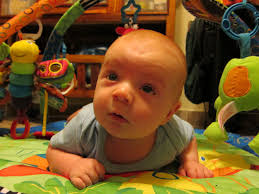 Dear Dad, Love Dominic