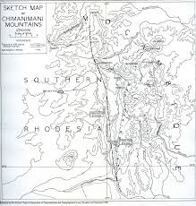 Image result for Olinia chimanimani