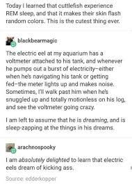 I Was Sitting Next To My Cat The Other Day And She Started Twitching So Much I Thought She Was Having A Seizure And So I T Tumblr Funny Funny Cutest