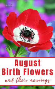 Maybe you would like to learn more about one of these? August Birth Flower Gladiolus Poppy Growing Family