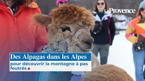 Photo Pelvoux : actualités et infos de votre ville en direct  La Provence